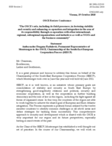 Statement by Amb. Dragana Radulovic, Permanent Representative of Montenegro, Chairmanship of the South-East European Cooperation Process (SEECP)