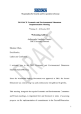 Opening remarks of OSCE Secretary General