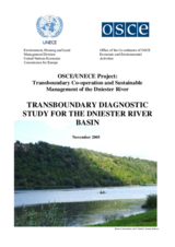Транскордонне діагностичне дослідження басейну р. Дністер