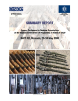 Summary report