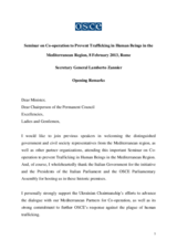 Opening Remarks by Secretary General Lamberto Zannier