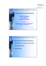 Presentation by Mr. Gianluca Sambucini, Committee on Sustainable Energy, UNECE, Geneva