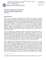 Contribution by Atlantic Council