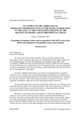 Statement by the Russian Federation