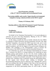 Opening Address by Amb. Prokopchuk, Chairperson of the OSCE Permanent Council