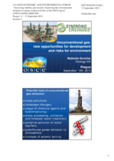 Presentation by Mr. Mykhailo Gonchar, President