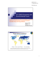 Presentation by Mr. Steivan Defilla, Director