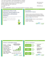 Presentation by Ms. Darya Revina,  Vice-Chairman on Green Economy, Head of GREENENERGY Initiative