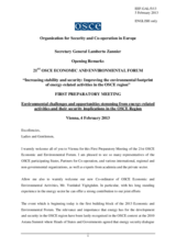 Opening Remarks by Amb. Lamberto Zannier