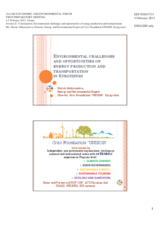 Presentation by Ms. Nurzat Abdyrasulova, Director, Energy and Expert