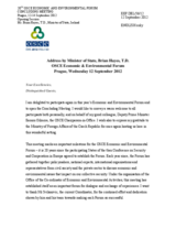 Welcoming Remarks by H.E. Brian Hayes, T.D., Minister of State