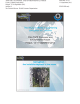 Presentation by Ms. Patricia Revesz, Governance Advisor, Capacity Building Directorate