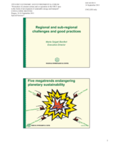 Presentation by Ms. Marta Szigeti Bonifert, Executive Director, Regional Environmental Center (REC), Hungary