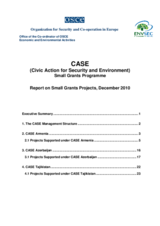 CASE Progress Report, December 2010