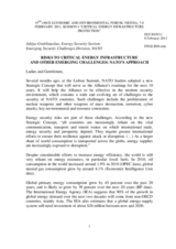 Remarks by Mr. Grubliauskas, Officer, Energy Security Section, Emerging Security Challenges Division, North Atlantic Treaty Organization (NATO)
