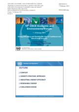 Presentation by Mr. Monga, Director, Energy and Climate Change Branch, PTC Division, United Nations Industrial Development Organization (UNIDO)