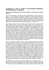 Contribution by Mr. Fabrice Renaud, Associate Director of United Nations University Institute for Environment and Human Security, Bonn, Germany