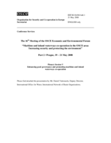 Contribution by D. Valensuela, Deputy Director, International Office for Water, International Network of Basin Organizations