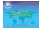 Presentation by Alexander Ratnikov, WCO