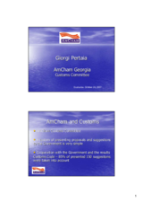 Presentation by AmCham Georgia Customs Committee