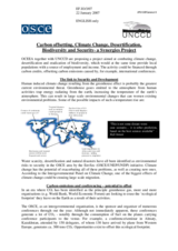 Presentation by OCEEA together with UNCCD on a project on Carbon offsetting, Climate Change, Desertification, Biodiversity and Security