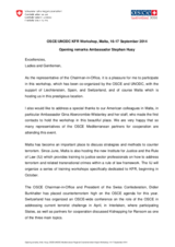 Opening remarks by Ambassador Stephan Husy 