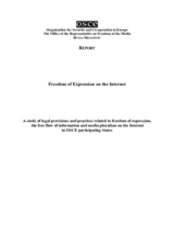 Freedom of Expression on the Internet Freedom of Expression on the Internet