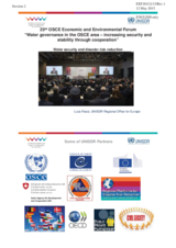 Presentation by Mr. Luca Rossi, Programme Officer, Regional office for Europe