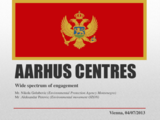 Nikola Golubovic and Aleksandar Perovic: Aarhus Centres: Wide spectrum of engagement