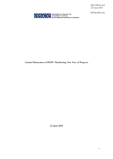 Gender Dimensions of SMM’s Monitoring: One Year of Progress