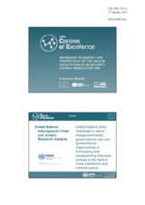 Presentation by Mr. Marelli, UNICRI