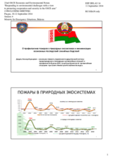 Statement by Mr. Leonid Dedul, Ministry of Emergency Situations