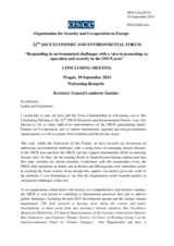 Opening Remarks by Amb. Lamberto Zannier, Secretary General