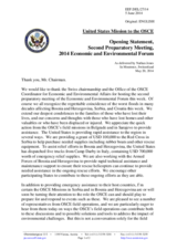 Statement by Mr. Nathan Jones, Political Officer
