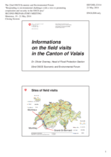 Presentation by Mr. Olivier Overney, Head Section Flood Protection, Federal Office for the Environment