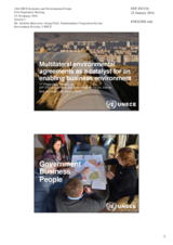 Presentation by Mr. Nicholas Bonvoisin, Acting Chief, Transboundary Cooperation Section, Environment Division