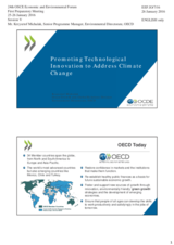 Presentation by Mr. Krzysztof Michalak, Senior Programme Manager, Environmental Directorate