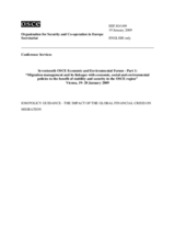 Contribution by the IOM- The Impact of the Global Financial Crisis on Migration