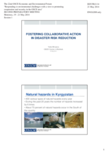 Presentation by Ms. Yulia Minaeva, Senior Economic and Environmental Officer