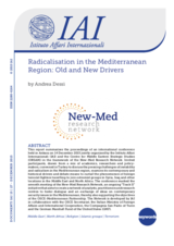 Radicalisation in the Mediterranean Region: Old and New Drivers