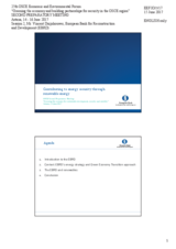 Presentation by Mr. Vincent Duijnhouwer, Associate Director, Energy Efficiency and Climate Change Department